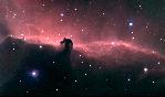 Nebulosa "Testa di cavallo"